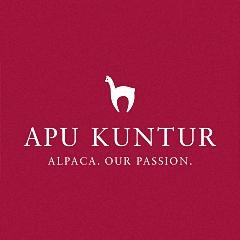 Logo Apu Kuntur
