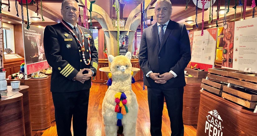 8 Casa Peru Llama.jpg