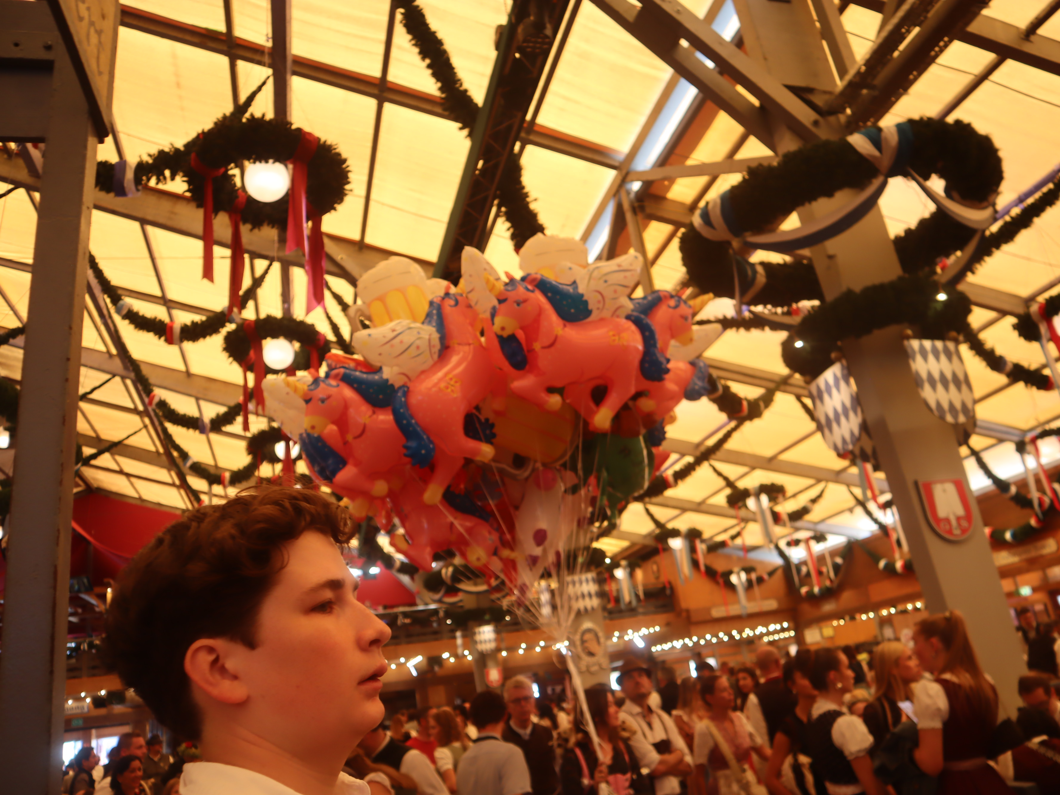5 IMG 1719