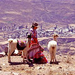 Colca-Schlucht