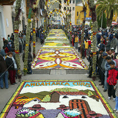 Teppiche aus Blumenblütenblätter in der Stadt Tarma, Quelle: Marca Perú