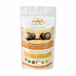 Polvo concentrado de Maca Pro 6:1 concentrado - 90 cápsulas