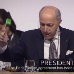 Präsident der COP21 Laurent Fabius kündigt die Unterzeichnung des Vertrags an.