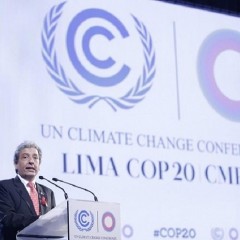 Was können wir von COP20 (Conference of the Parties) in Lima erwarten?
