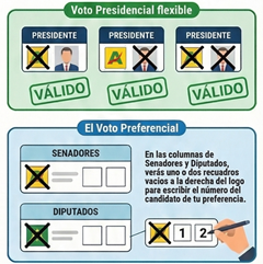 Gráficos elaborados con ayuda de NotebookLM y corregidos por dos personas. Difieren algo de la cédula oficial de sufragio