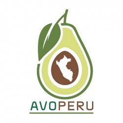 Avo Perú S. A.- Avocados