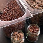 Cacao en grano tostado del Perú