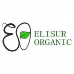 Elisur Organic -Jengibre y cúrcuma