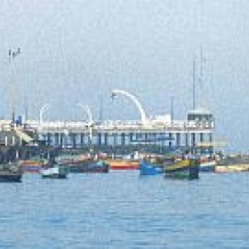 Peruanischer Fischexporteur wächst zweistellig