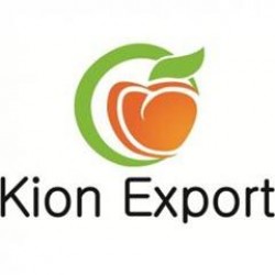 Kion Export