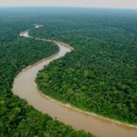 Zoologische Gesellschaft Frankfurt betreut weiteres Urwaldgebiet in Peru