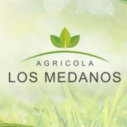 Agrícola los Médanos S.A.