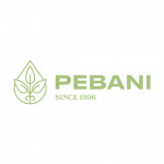 Pebani Inversiones