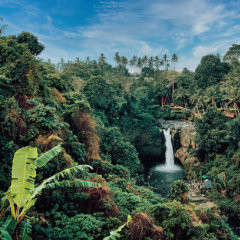 Illegaler Bergbau bedroht Perus Amazonasregion - Ein Appell zum Handeln