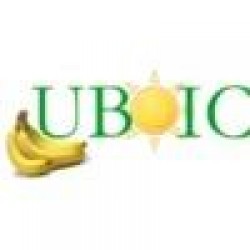 UBOIC - Unión de Bananeros Orgánicos Inmaculada Concepción