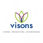 Vison's